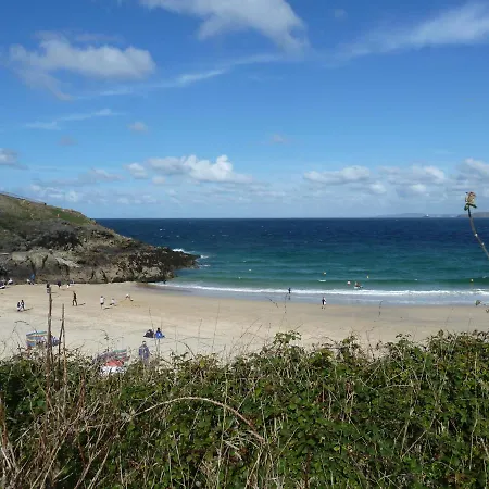 Grey Mullet St Ives (Cornwall)